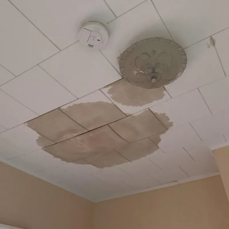 Ceiling Water Damage Repair in Society Hill, NJ